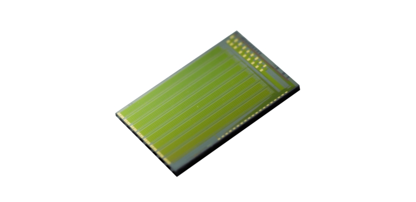 Objective Pros and Cons Analysis of Current Integrated Photonic Chips